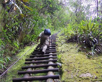 Guia de caminhadas na montanha Putucusi