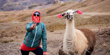 Locais para ver lhamas e alpacas perto de Cusco